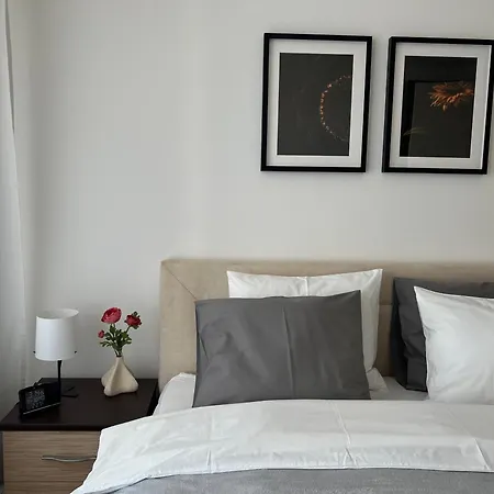 Zen * Belgrade